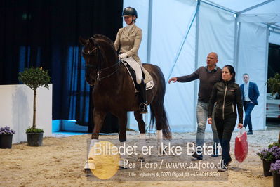 Dansk varmblod hingstekåring.
Nøgleord: skovens rafael;lotte skjaerbaek