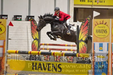 Fredericia Rideklub
Sprngstævne for hest
Nøgleord: søren finnemann;bellissima