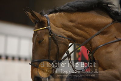 Fredericia Rideklub
Sprngstævne for hest
Nøgleord: marie lunding hansen;why not