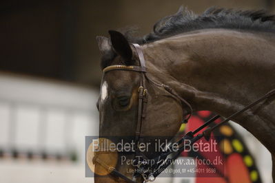 Fredericia Rideklub
Sprngstævne for hest
Nøgleord: dennis noes nielsen;cinderella