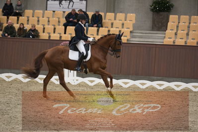 Ecco Cup Finaler 2019
Junior, u18
Nøgleord: cecilie hedegaard;silhuet