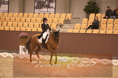 Ecco Cup finaler 2019
youngrider, u18
Nøgleord: victoria kuusisto pedersen;langkjærgaard's donna fetti