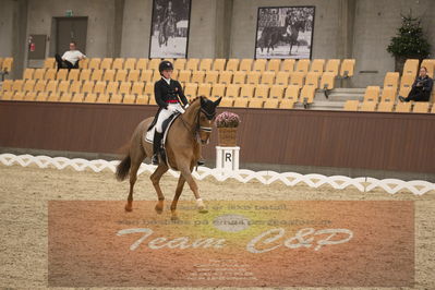 Ecco Cup finaler 2019
youngrider, u18
Nøgleord: sara van deurs petersen;katholm's ronaldo