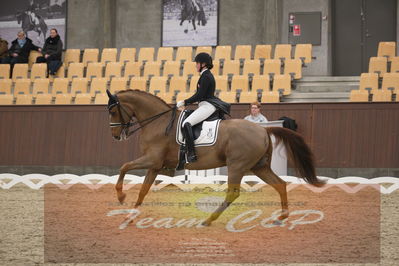 Ecco Cup finaler 2019
youngrider, u18
Nøgleord: sara van deurs petersen;katholm's ronaldo