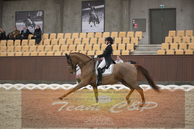 Ecco Cup finaler 2019
youngrider, u18
Nøgleord: sara van deurs petersen;katholm's ronaldo