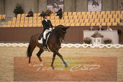 Ecco Cup finaler 2019
youngrider, u18
Nøgleord: karoline rohmann;jakas don louvre