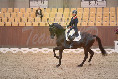 Dansk Rideforbunds Championats finaler 2018 spring
Dansk Rideforbunds Championats finaler 2018
dressur 7års
Nøgleord: icing for you;meike lang