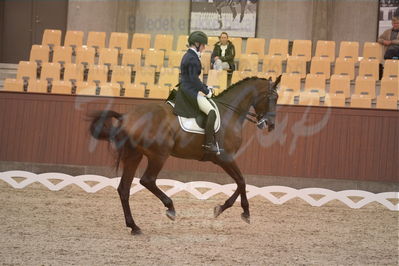 Dansk Rideforbunds Championats finaler 2018 spring
Dansk Rideforbunds Championats finaler 2018
dressur 7års
Nøgleord: hjorth's zarina;tanja søndergaard pedersen