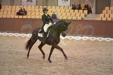 Dansk Rideforbunds Championats finaler 2018 spring
Dansk Rideforbunds Championats finaler 2018
dressur 7års
Nøgleord: uno don olympic;anna zibrandtsen