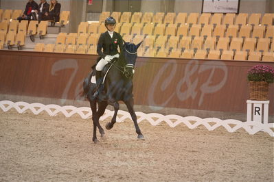 Dansk Rideforbunds Championats finaler 2018 spring
Dansk Rideforbunds Championats finaler 2018
dressur 7års
Nøgleord: uno don olympic;anna zibrandtsen