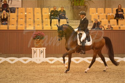 Dansk Rideforbunds Championats finaler 2018 spring
Dansk Rideforbunds Championats finaler 2018
dressur 7års
Nøgleord: hesselhøj donkey boy;jan møller christensen