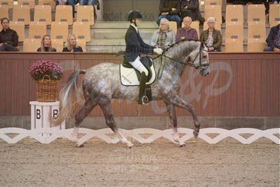 Dansk Rideforbunds Championats finaler 2019 dressur
Dansk Rideforbunds Championats finaler 2018
4års
Nøgleord: highfive fuglsang;anders uve sjøbeck hoeck