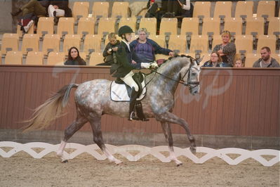 Dansk Rideforbunds Championats finaler 2019 dressur
Dansk Rideforbunds Championats finaler 2018
4års
Nøgleord: highfive fuglsang;anders uve sjøbeck hoeck