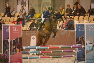 Dansk Rideforbunds Championats finaler 2018 spring
Dansk Rideforbunds Championats finaler 2018
4 års kvl
Nøgleord: endre pp z;sabine korfitz christensen