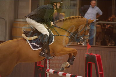 Dansk Rideforbunds Championats finaler 2018 spring
Dansk Rideforbunds Championats finaler 2018
5 års kval
Nøgleord: elmegårdens dakota;torben frandsen