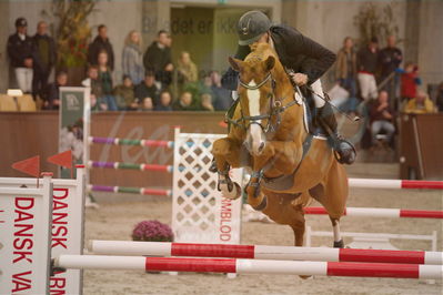 Dansk Rideforbunds Championats finaler 2018 spring
Dansk Rideforbunds Championats finaler 2018
5 års kval
Nøgleord: elmegårdens dakota;torben frandsen