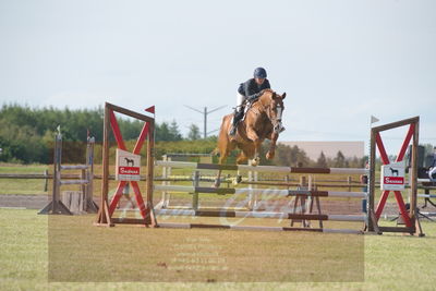 Drf championat spring kvl. 5års
Nøgleord: pt;laila pdersen;elmegårdens  dakota