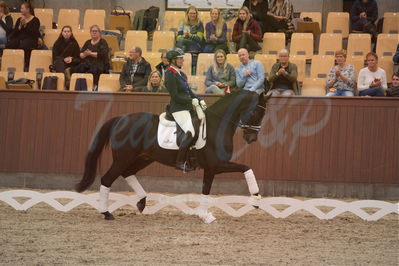 Dansk Rideforbunds Championats finaler 2019 dressur
Dansk Rideforbunds Championats finaler 2019
5 års
Nøgleord: meike lang;elverhøjs raccolto