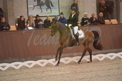 Dansk Rideforbunds Championats finaler 2019 dressur
Dansk Rideforbunds Championats finaler 2018
6 års
Nøgleord: susanne barnow;srienna