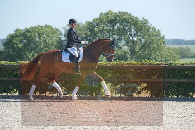 Blue Hors Dressurchampionat 2019 3års
Billeder fra stævnet
Nøgleord: aagaardens lionell;ida hoffman-bang