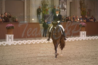 Dansk Rideforbunds Championats finaler 2019 dressur
Dansk Rideforbunds Championats finaler 2018
6 års
Nøgleord: anette ejlersgaard;baunehøjens carpaccio