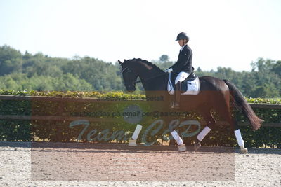 Blue Hors Dressuchampionat 2019 4års
Billeder fra stævnet
Nøgleord: vinstruplunds st ferro;emma roesdahl