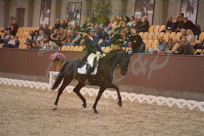 Dansk Rideforbunds Championats finaler 2019 dressur
Dansk Rideforbunds Championats finaler 2018
7 års
Nøgleord: icing for you;meike lang