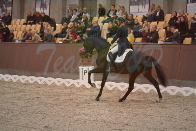 Dansk Rideforbunds Championats finaler 2019 dressur
Dansk Rideforbunds Championats finaler 2018
7 års
Nøgleord: icing for you;meike lang