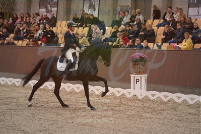 Dansk Rideforbunds Championats finaler 2019 dressur
Dansk Rideforbunds Championats finaler 2018
7 års
Nøgleord: icing for you;meike lang