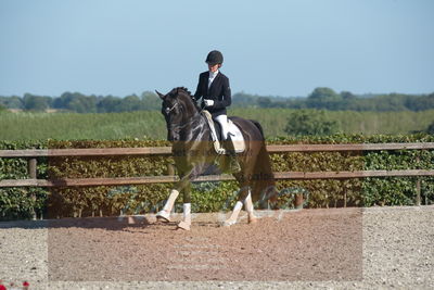 Blue Hors Dressuchampionat 2019 4års
Billeder fra stævnet
Nøgleord: zamir;tanja rusovic