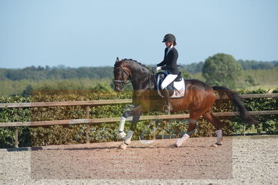 Blue Hors Dressuchampionat 2019 4års
Billeder fra stævnet
Nøgleord: zirocco overskovlund;laura thorup