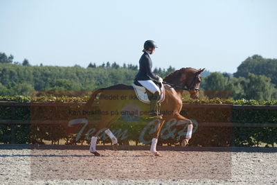 Blue Hors Dressuchampionat 2019 4års
Billeder fra stævnet
Nøgleord: peggy sue nexen;sunnova harneshaug