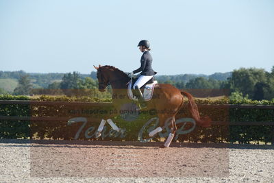 Blue Hors Dressuchampionat 2019 4års
Billeder fra stævnet
Nøgleord: peggy sue nexen;sunnova harneshaug