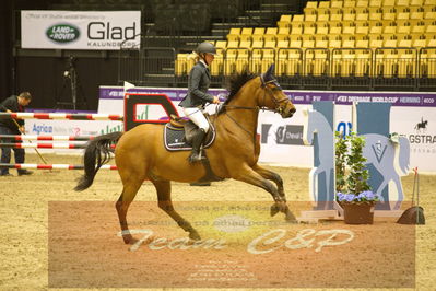 Worldcup Herning 2019
Nøgleord: josefine sandgaard mørup;de semilly edition