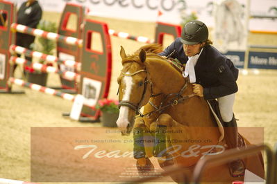 Worldcup Herning 2019
Nøgleord: daniel svensson;khan vd donkhoeve