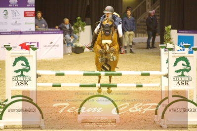 Worldcup Herning 2019
Nøgleord: zoe osterhoff;ferrari vdl