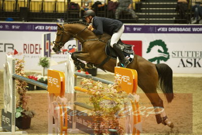 Worldcup Herning 2019
Csi3 grandprix 150cm
Nøgleord: piet raijmakers jn;van schijndel's gladstone