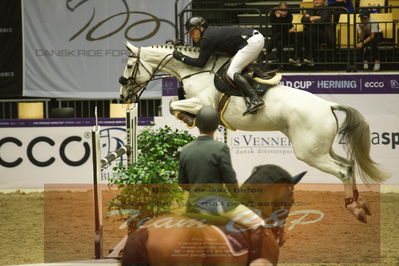 Worldcup Herning 2019
Csi3 grandprix 150cm
Nøgleord: maximillian lill;cita z