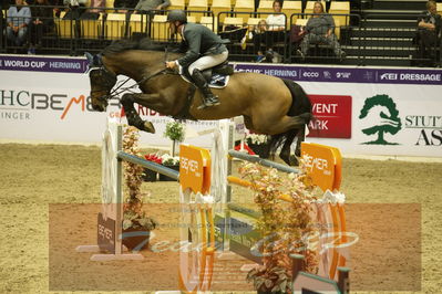 Worldcup Herning 2019
Csi3 grandprix 150cm
Nøgleord: torben frandsen;daughtry mak