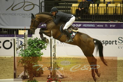 Worldcup Herning 2019
Csi3 grandprix 150cm
Nøgleord: patrick stühlmeyer;chacgrano