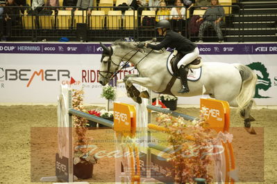 Worldcup Herning 2019
Csi3 grandprix 150cm
Nøgleord: linn widmark;coleburn