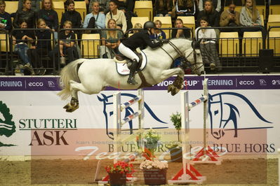 Worldcup Herning 2019
Csi3 grandprix 150cm
Nøgleord: linn widmark;coleburn