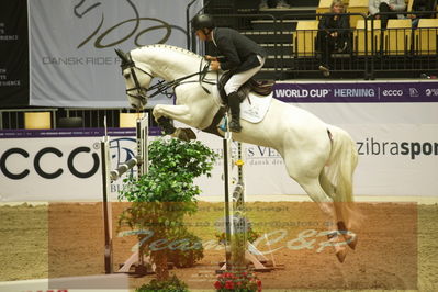 Worldcup Herning 2019
Csi3 grandprix 150cm
Nøgleord: rolf-goren bengtsson;emir r