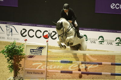 Worldcup Herning 2019
Csi3 grandprix 150cm
Nøgleord: rolf-goren bengtsson;emir r