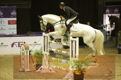 Worldcup Herning 2019
Csi3 grandprix 150cm
Nøgleord: rolf-goren bengtsson;emir r