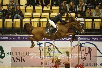 Worldcup Herning 2019
Csi3 grandprix 150cm
Nøgleord: daniel svensson;khan vd donkhoeve