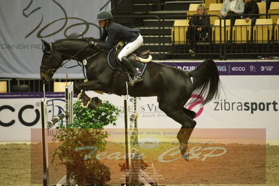 Worldcup Herning 2019
Csi3 grandprix 150cm
Nøgleord: justine tebbel;camilla p j