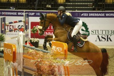 Worldcup Herning 2019
Csi3 grandprix 150cm
Nøgleord: zoe osterhoff;ferrari vdl