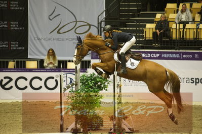 Worldcup Herning 2019
Csi3 grandprix 150cm
Nøgleord: miriam schneider;jk horsetrucks hopefull