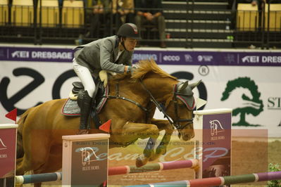 Worldcup Herning 2019
Csi3 grandprix 150cm
Nøgleord: theodor linde;salto des nauves h d c